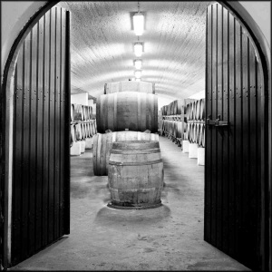 santo winery winery